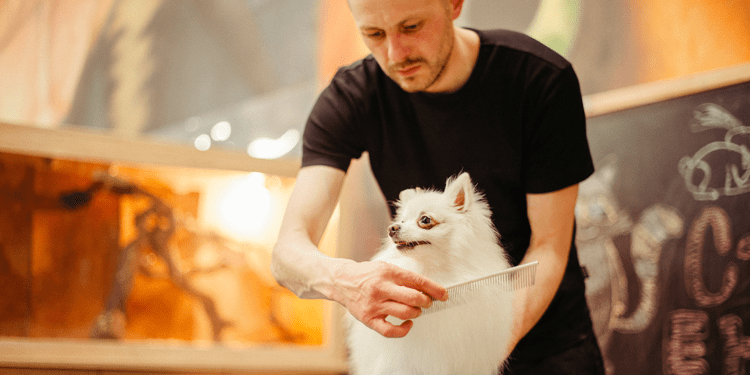 Side Hustle Idea - Pet Grooming