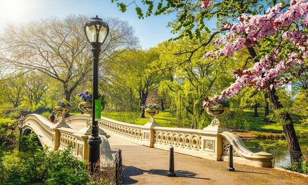 Bow Bridge in Central Park with trees foliage at New York City