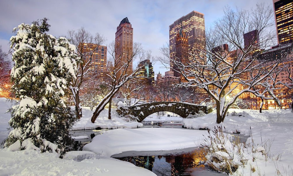Winter in Central Park, New York City.
