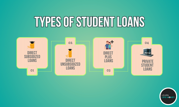 A diagram showing types of student loans as one of way on how to pay back student loans